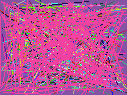 phone reverse lookup